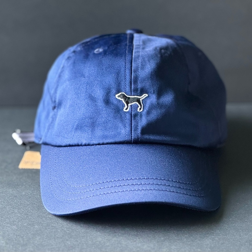 NWT✨PINK-Victoria’s Secret Blue Cap